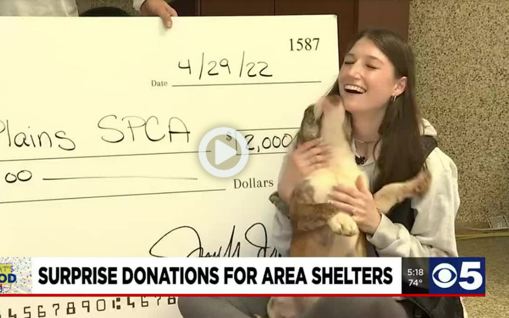 Surprise Donations for Animal Shelters in Kansas City