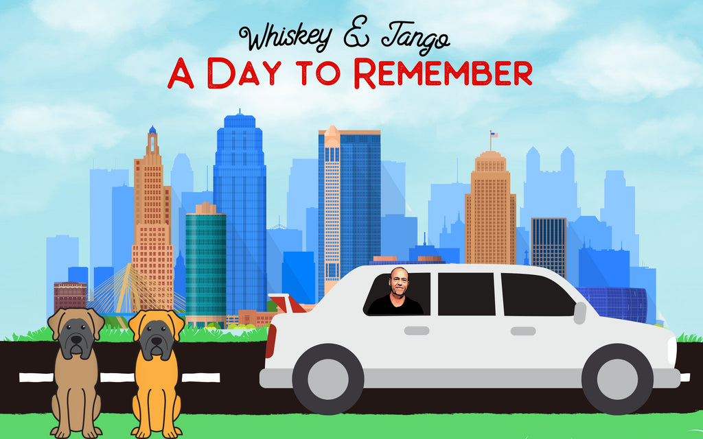 The Limo Adventure of Whiskey & Tango - Homeless Mastiffs Looking for a Forever Home 