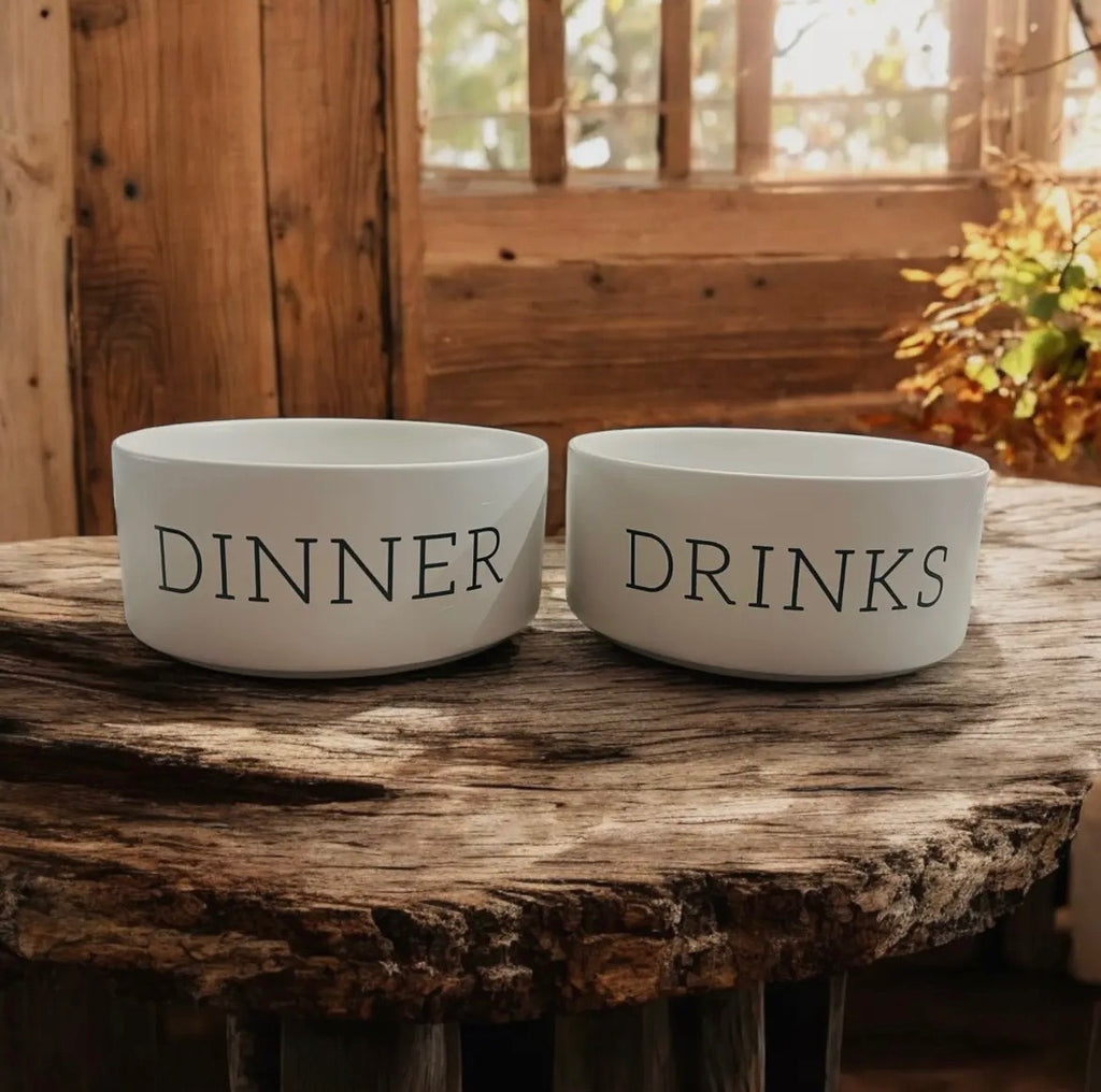 Dinner and Drinks Dog Bowls
