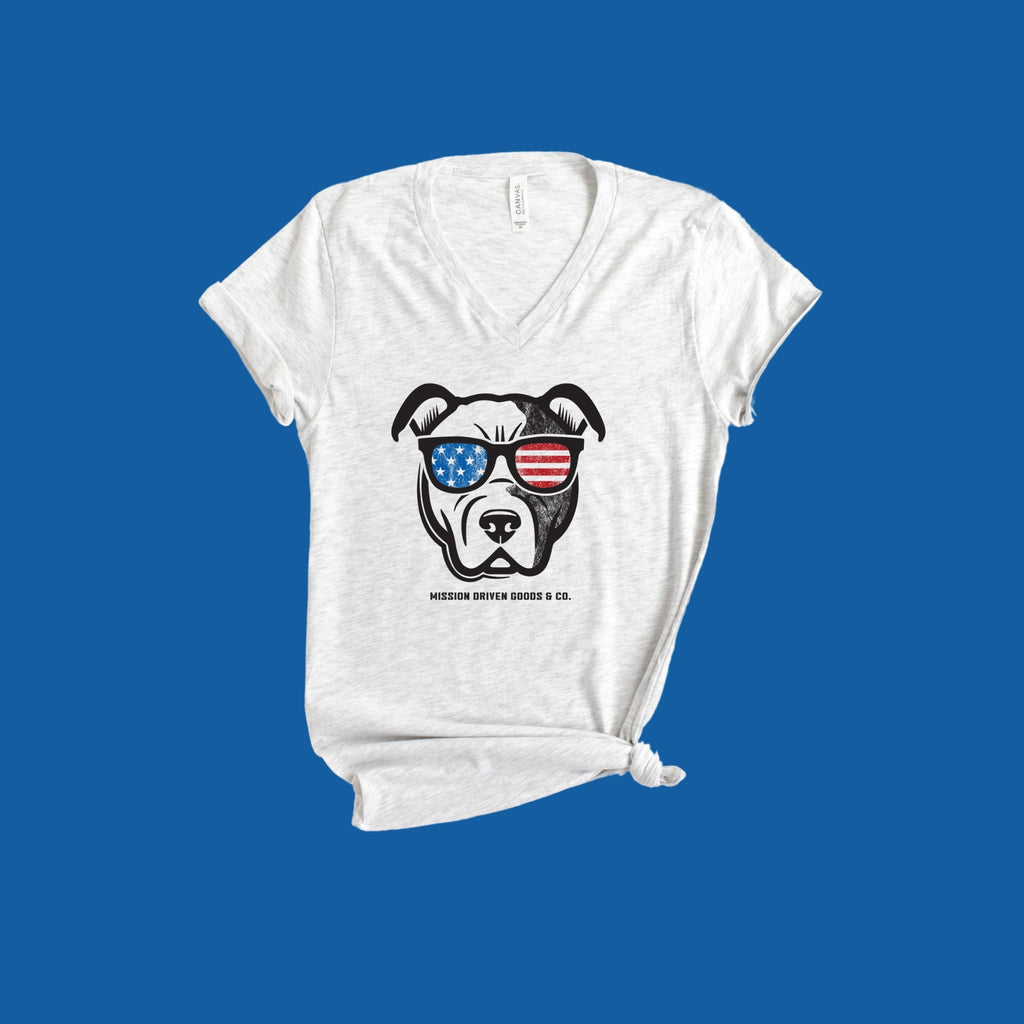 USA Dog V-Neck T-Shirt